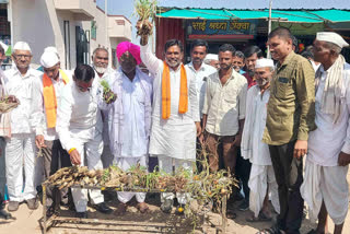 Waste Vegetable Stalls