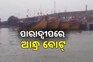 CYCLONE IMPACT: ପାରାଦ୍ବୀପ ବନ୍ଦରରେ ଲାଗିଲା ୪୦ ଆନ୍ଧ୍ର ବୋଟ