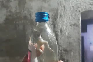 Chhattisgarh: Man finds dead frog inside liquor bottle in Korba