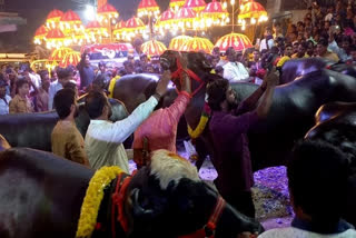 Sadar celebrations in Ramantapur