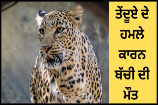 18 months girl died after A leopard attack