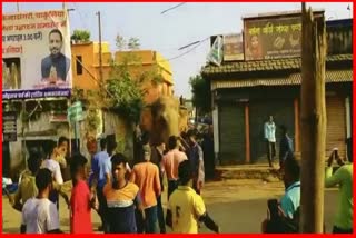 Wild Elephant Entered In Chakulia