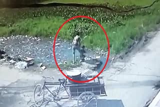 innocent-fallen-in-pond-with-bicycle-at-roorkee