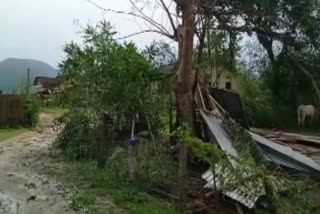 cyclone sitrang impact in assam