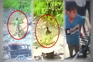 (Do not publish) Child fell into a pond, saved by a rickshaw puller