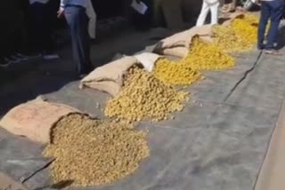 Rajapuri Turmeric in APMC