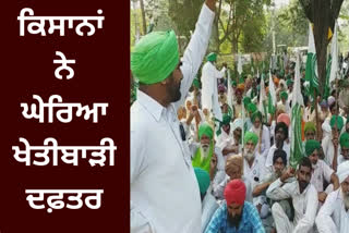 Farmers in Mansa besieged the agriculture office for their demands