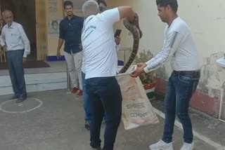Found python in Jawahar Navodaya Vidyalaya Malhar