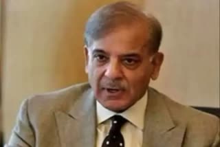 Pakistan PM Shehbaz Sharif