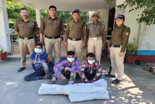 sandalwood smugglers caught in haldwani