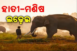 ହାତୀ ମଣିଷ ଲଢ଼େଇ, ସଚେତନତା ସୃଷ୍ଟି ପାଇଁ ଅଭିଯାନ ଆରମ୍ଭ କଲା ଜଙ୍ଗଲ ବିଭାଗ