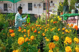 Sukhdev Pant Did Flower Farming in Srinagar