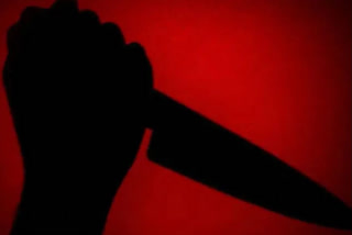 Brave woman foils midnight robbery attempt in Andhra Pradesh