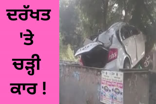 Speeding car stuck between tree and school wall in Moga