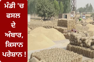 Due to non lifting of paddy, the crop is piled up in the market