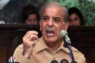 PM Shehbaz Sharif