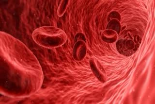 Blood clotting after covid vaccination side effect tts . Blood clotting after covid vaccination . covid vaccination side effect