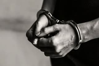 Man held for stealing mobile phones  Man held for stealing mobile phones hariyana  മൊബൈൽ ഫോണുകൾ മോഷ്‌ടിച്ചു  അഞ്ച് കോടി രൂപ വിലമതിക്കുന്ന മൊബൈൽ ഫോണുകൾ  യുവാവ് ഹരിയാന പൊലീസിന്‍റെ പിടിയിൽ  മലയാളം വാർത്തകൾ  ദേശീയ വാർത്തകൾ  മോഷണം  ഹരിയാന മോഷണക്കേസ്  mobile phones theft  hariyana theft case  national news  malayalam news  mobile phones stolen worth Rs five crore