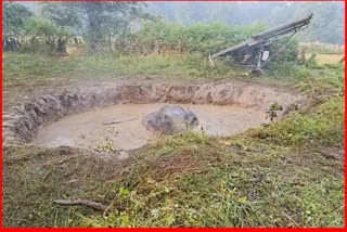 Elephants Fell In Pond Dugli Forest Area