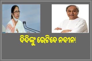 Naveen Visit Kolkata: ପୂର୍ବାଞ୍ଚଳ ଜୋନାଲ ପରିଷଦ ବୈଠକରେ ଯୋଗ ଦେବେ