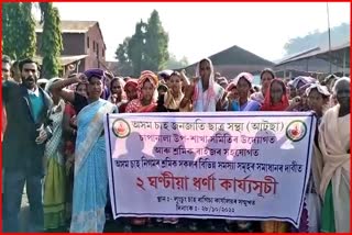 assam-tea-tribes-students-association-protest-in-nagaon