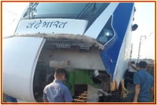 Cattle collided With Vande Bharat Train