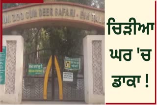 Sandal wood and trees stolen from Bathinda zoo