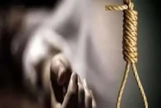 Body found hanging from tree in Tundi