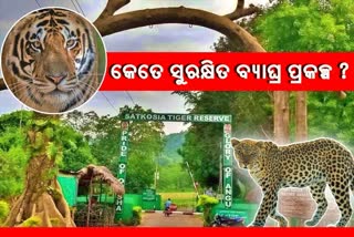 ବ୍ୟାଘ୍ର ପ୍ରକଳ୍ପରେ ଦୁଇ କଲରାପତାରିଆଙ୍କ ମୃତ୍ୟୁ,  ସୁରକ୍ଷାକୁ ନେଇ ଉଠିଲା ପ୍ରଶ୍ନ