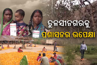 ଆଦର୍ଶ ଓ ମଦମୁକ୍ତ ଗ୍ରାମ ତୁଳସୀନଗରରେ ପହଞ୍ଚି ପାରୁନି ବିକାଶ ଗାଡି