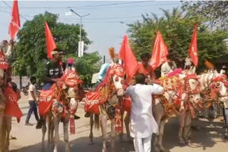 Horses worshipped on Chhath Puja in Uttar Pradesh