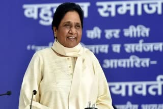 BSP Vote Bank in Himachal