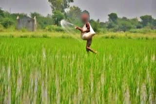 Bangladeshi farmers illegal cultivation