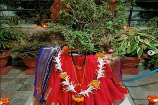 Tulsi Vivah