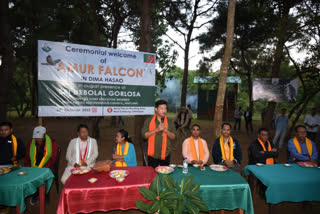 Falcon Festival of Umrangsu