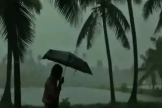 Mansoon arrives in kerala rain updates  Mansoon arrives in kerala  സംസ്ഥാനത്ത് തുലാവര്‍ഷമെത്തി  മഴ ശക്തിപ്പെടും  കാലാവസ്ഥ നിരീക്ഷണ കേന്ദ്രത്തിന്‍റെ റിപ്പോര്‍ട്ട്  Meteorological department Report