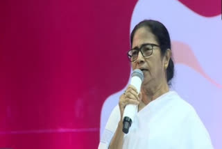 Powers being seized by a section, says WB chief Minister Mamata Banerjee