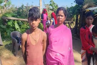 child bites snake in jashpur