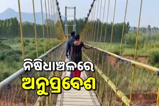 Chekaguda hanging bridge: ନିଷିଧାଞ୍ଚଳ ଝୁଲାପୋଲ ବାଡ଼ ଭାଙ୍ଗି ପର୍ଯ୍ୟଟକଙ୍କ ଅନୁପ୍ରବେଶ