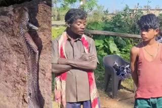 Chhattisgarh: 12 year old bites back snake leving it dead