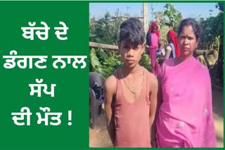 child bites snake in jashpur