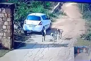 sheopur goats theft