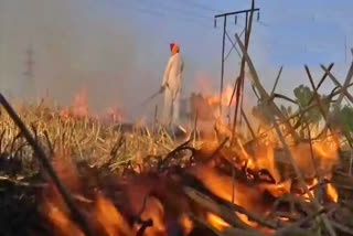 Stubble burning: Punjab govt suspends four agriculture officers for dereliction of duty