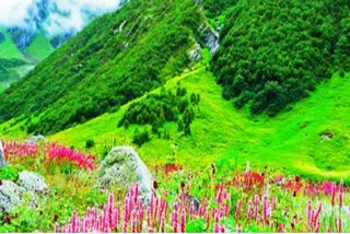 Valley of Flowers