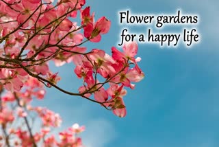 Flower gardens for a happy life