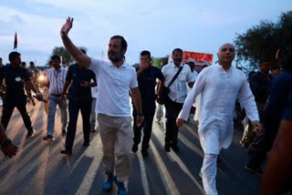 Will win Gujarat polls; AAP only in air, not on ground: Rahul