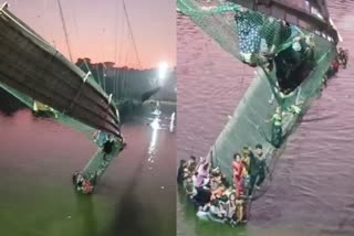 Morbi bridge collapse  Gujarat  FIR  Agencies  culpable homicide  കുറ്റകരമായ അനാസ്ഥ  മോര്‍ബി  തൂക്കുപാലം തകര്‍ന്ന  അറ്റകുറ്റപണികള്‍ നടത്തിയ ഏജന്‍സി  മനഃപൂര്‍വമല്ലാത്ത നരഹത്യ  പൊലീസ്  ഗുജറാത്ത്  തൂക്കുപാലം  എഫ്‌ഐആർ  ഒറേവ  അറ്റകുറ്റപണി