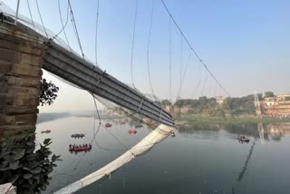 Morbi bridge tragedy survivor says Mischievous kids were shaking ropes of bridge before it collapsed