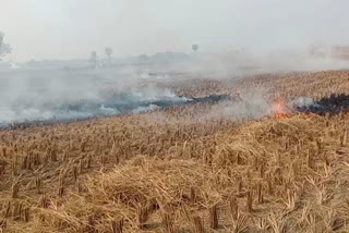 अफसर बोले अब लगेगा जुर्माना