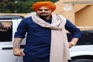 Sidhu Moosewala murder case: Punjab Police gets gangster Deepak Tinu's transit remand